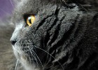 Patty Portrait