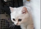 MG 9328