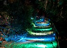 IMG 8604