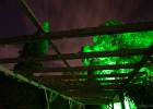 IMG 8664