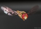 QH9C0772-fc