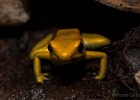 10IMG 3471