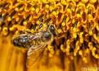 IMG 0718-Bearbeitet
